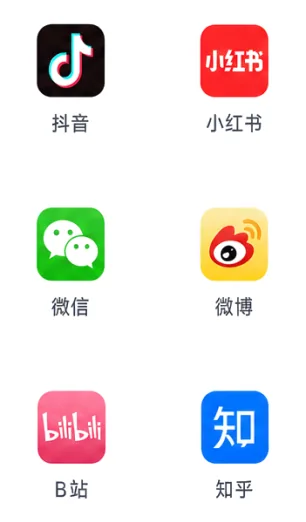 主流公域平台